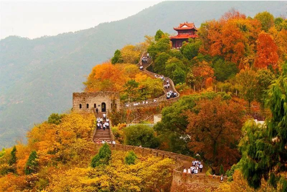 乐游台州丨这些登高地，藏着最绚烂的秋色！